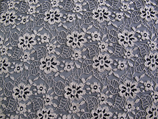 Floral Brushed Elastic Lace Fabric Ivory Stretchable AZO Free Dyeing CY-LW0652