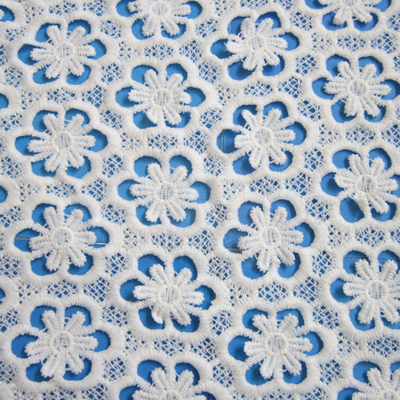 Embroidered Lace Fabric, Made of Nylon, Suitable for Garments,dress