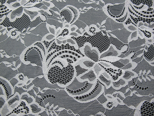 White Nylon Swiss Lace Fabric Floral Knitted With Border Lace and Scallop Edge